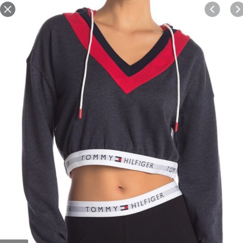 Tommy Hilfiger retro cropped hoodie